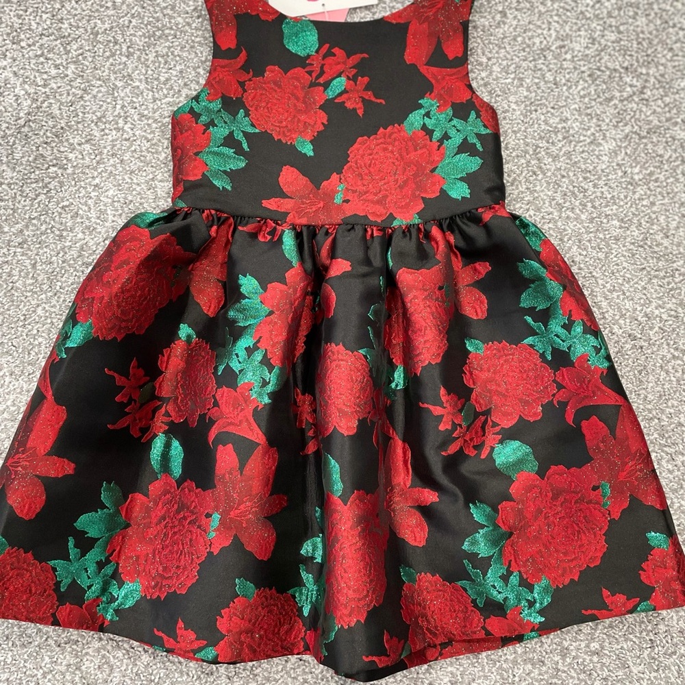 Floral Holiday Dress NWT size 5
